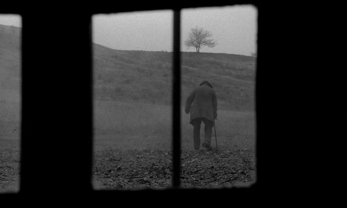 The Turin Horse (2011) movie still: wide — An elderly person walks away across a desolate, grassy field toward a distant tree. The scene is viewed…