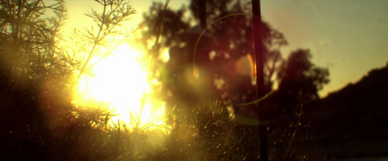 Bellflower (2011) movie still: establishing — A field of dry weeds and brush is backlit by a low sun. Visible lens flares intersect with the…