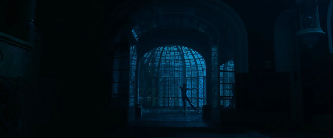 Birds of Paradise (2021) movie still: wide — A dark conservatory features a large, arched glass dome structure at the back. A lone dancer performs a…