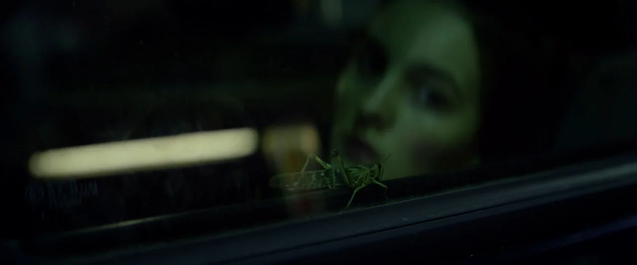 Kissing Candice (2017) movie still: closeup — A close-up shot focuses on a grasshopper resting on the exterior of a window. Beyond the glass, a…