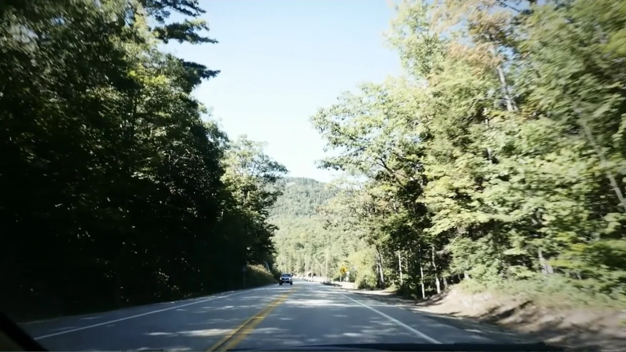 Beware of Angels (2016) movie still: establishing — A two-lane paved road winds through a lush, green deciduous forest during the day. A vehicle…