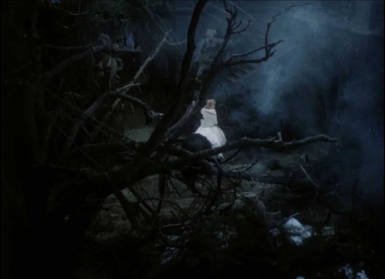 Beauty and the Beast (1979) movie still: wide — A dark, smoke-filled forest features gnarled, leafless tree limbs extending into the foreground. A…