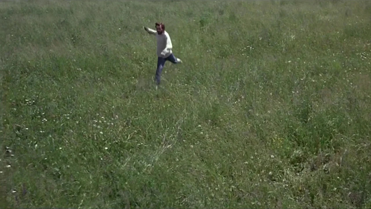 A Quiet Place In The Country (1968) movie still: wide — A vast, overgrown grassy meadow filled with tall green stalks and wildflowers. A lone man in…