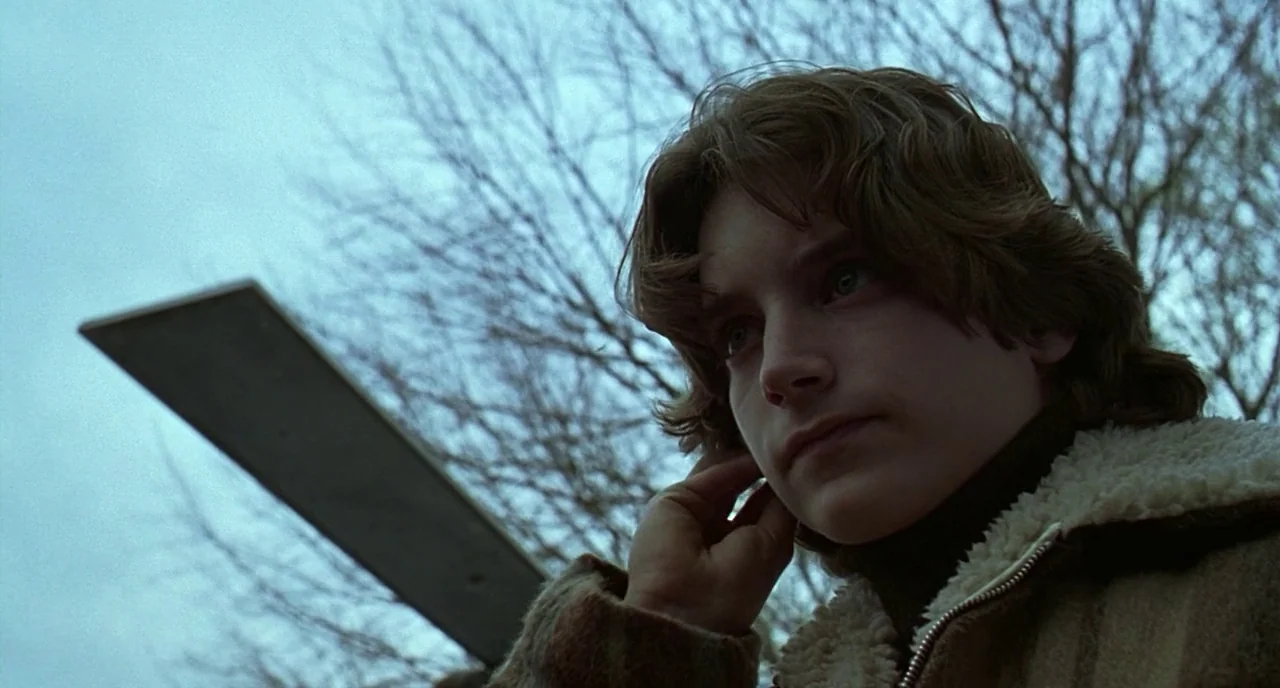 The Ice Storm (1997) movie still: closeup — A youth stands outdoors in front of a diving board under a cloudy sky. The teenager reaches up to touch…