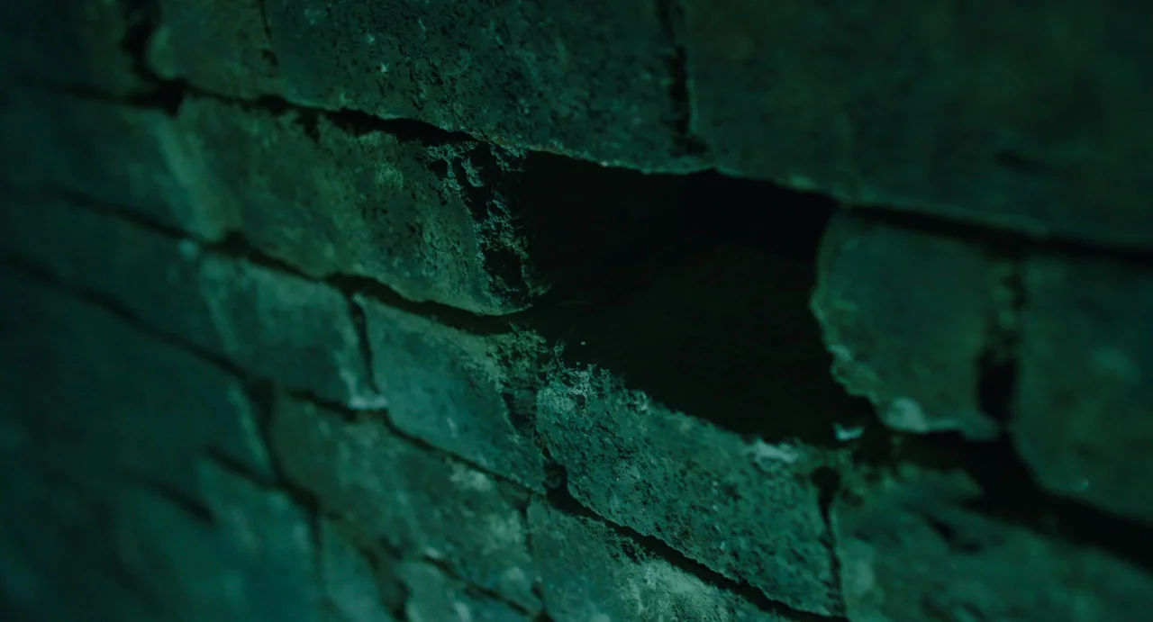 The Mimic (2017) movie still: closeup — A close-up view of an aged, dark brick wall with visible mortar lines. One brick is partially crumbled with…