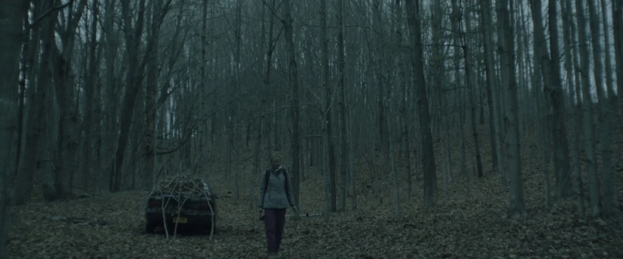 Here Alone movie still: wide — A dense woodland area filled with tall, leafless trees and a ground covered in leaves. A woman walks slowly forward…