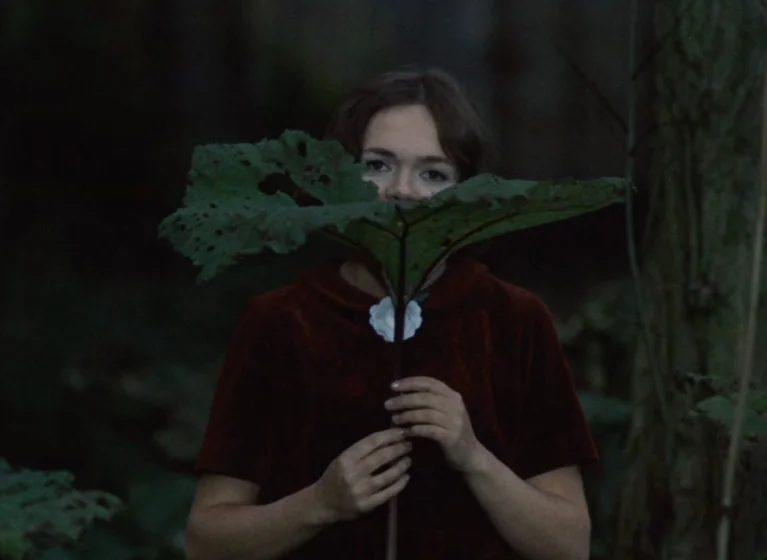 Fruit of Paradise (1970) movie still: medium — A woman stands in a dense area of overgrown foliage and tree trunks. She holds a large, hole-ridden…