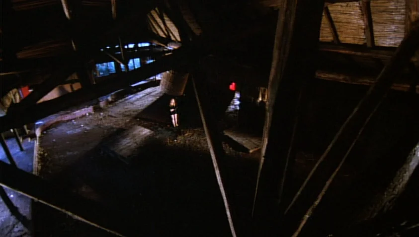 A Bay of Blood (1971) movie still: wide — An expansive, dark attic space is filled with heavy timber beams and wooden rafters. A young woman stands…