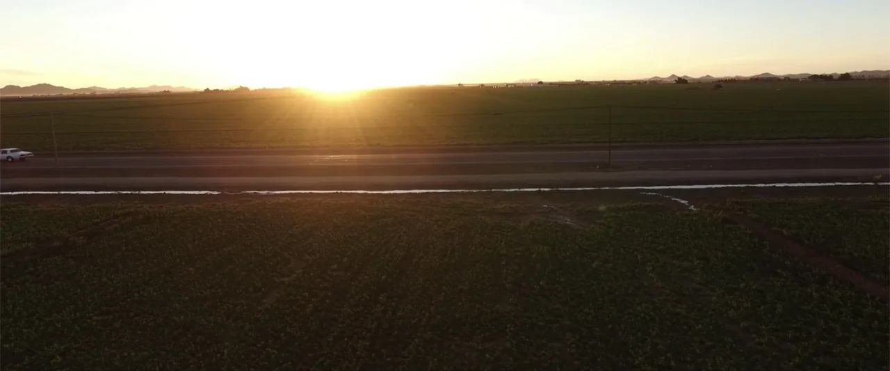 Anomaly (2006) movie still: wide — A vast expanse of green agricultural fields is bisected by a flat asphalt road. A white sedan drives horizontally…