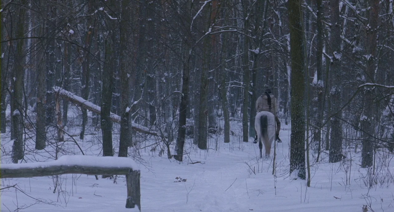 Essential Killing (2010) movie still: wide — A snow-covered forest contains thin bare trees and a wooden fence in the foreground. A lone person…
