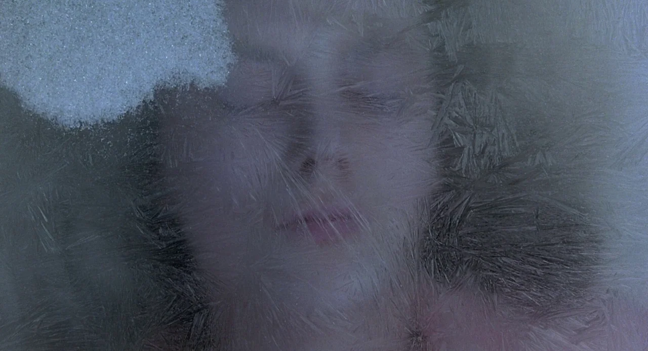 To Die For (1995) movie still: closeup — A human face is visible behind a thick layer of intricate ice frost crystals. The subject appears to be…