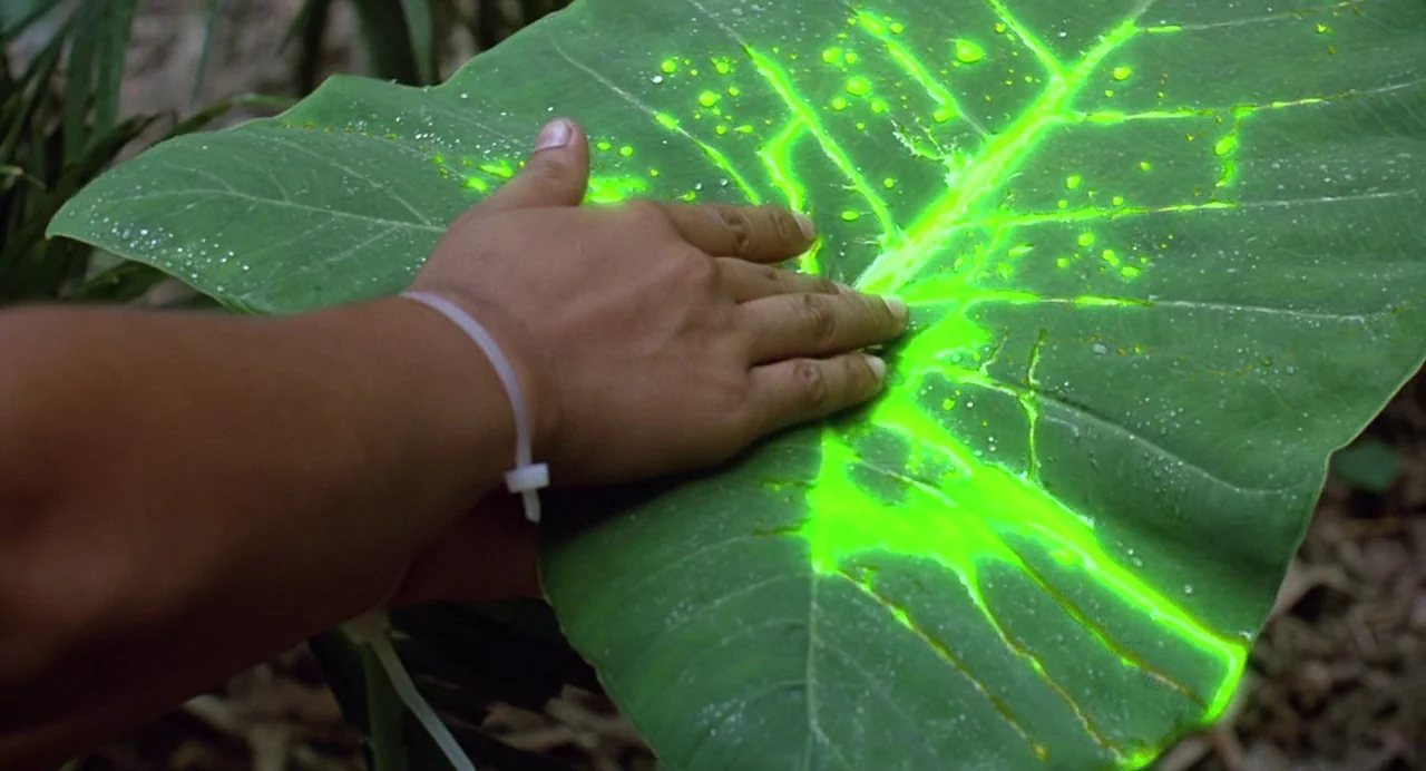 Predator (1987) movie still: closeup — A dark tropical environment features a large, broad leaf with glowing veins. A person's hand with a…
