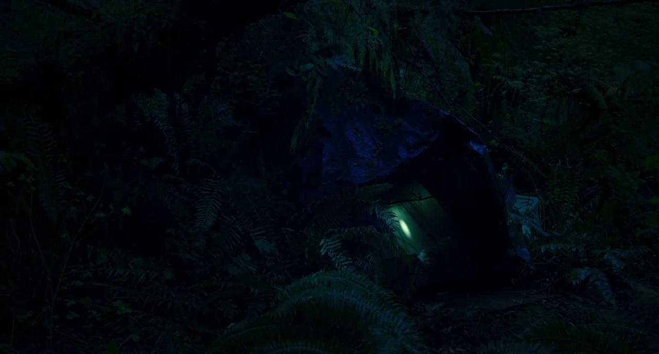 Leave No Trace (2018) movie still: wide — A dark tent is partially hidden by dense ferns and mossy tree branches at night. The tent emits a soft,…