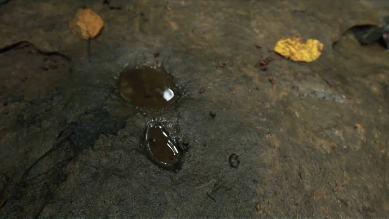 Finding Amelia (2024) movie still: closeup — A patch of damp, textured earth featuring scattered yellow leaves and two small water-filled…