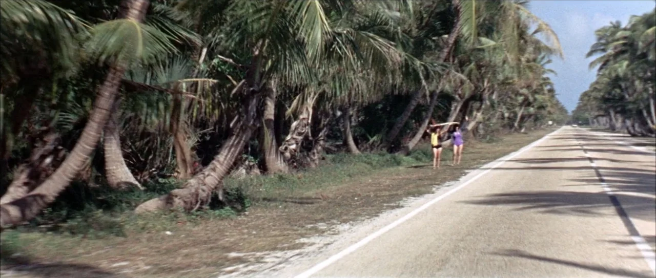 Clambake (1967) movie still: wide — A long paved road runs through a tropical grove of leaning palm trees. Two women carry surfboards while walking…