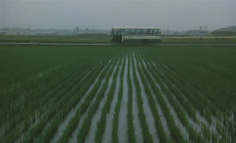 The Taste of Tea (2004) movie still: wide — An expanse of water-filled rice paddies stretches toward a distant road in Japan. A small bus stands…