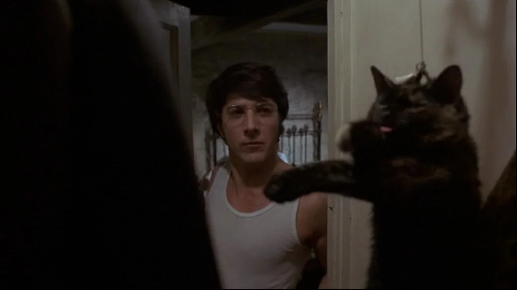 Straw Dogs (1971) movie still: medium — A dimly lit room features a man standing in a doorway next to a cat. The dark-furred cat is in the…