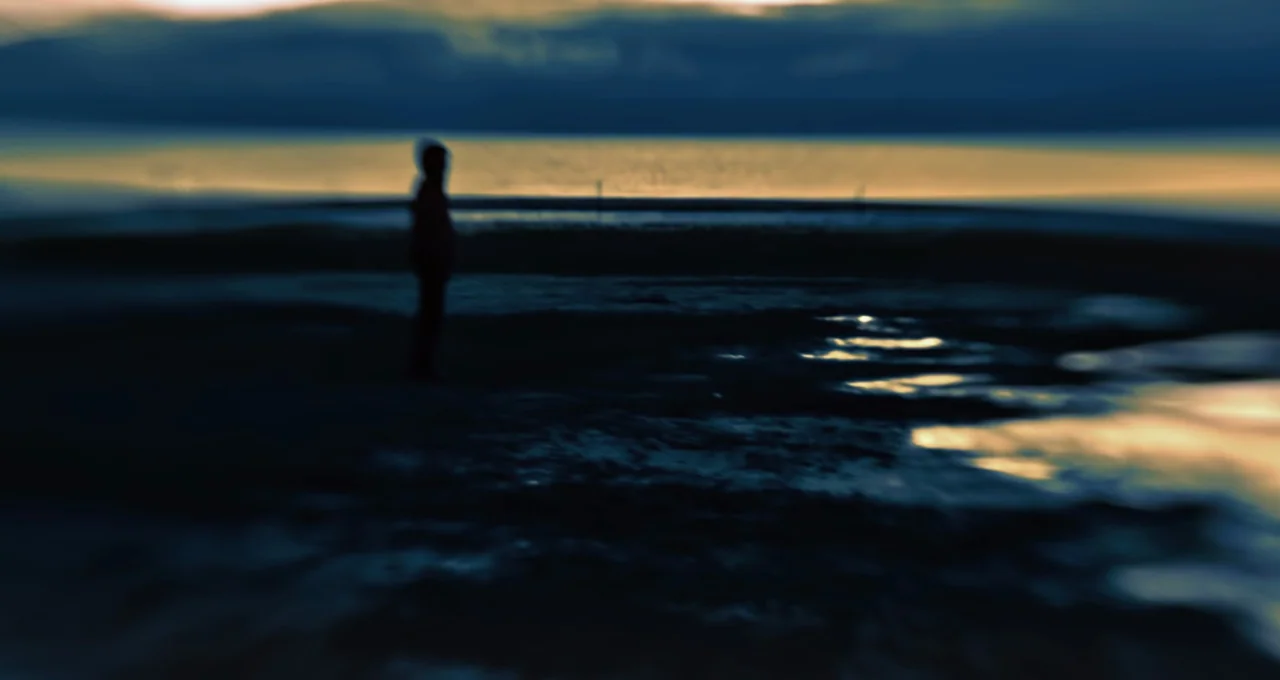 Balloon (2019) movie still: wide — A dark, blurred shoreline at dusk with calm water and wet sand. A lone hooded figure stands motionless in profile…