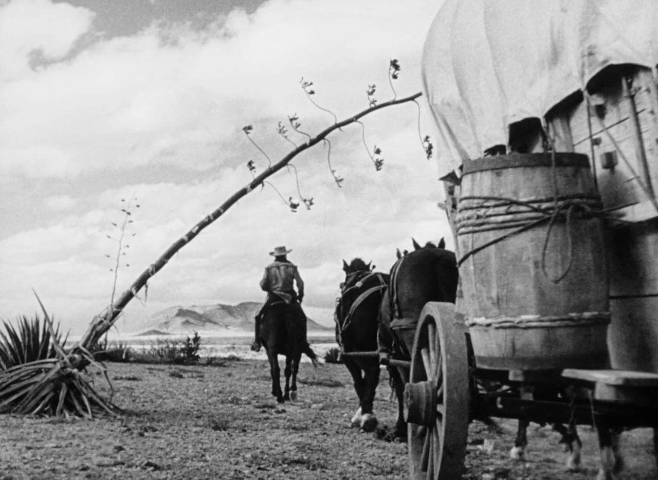 Red River (1948) movie still: wide — An arid, rocky landscape features a single rider following a wooden covered wagon. A tall desert plant with a…