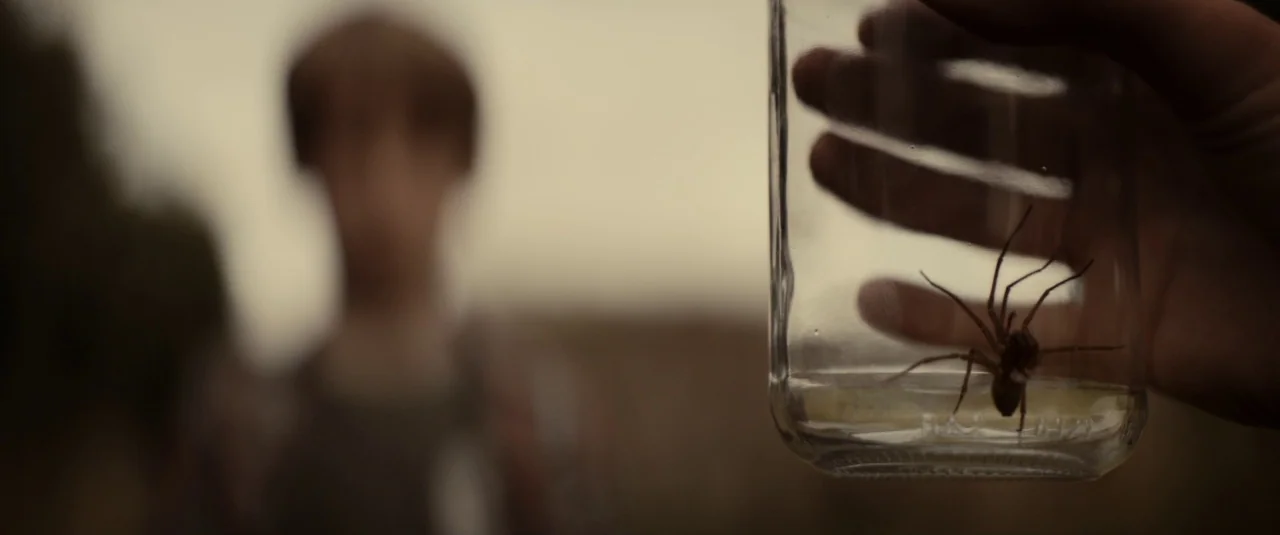 The Hole in the Ground (2019) movie still: closeup — A blurred figure stands in an overcast outdoor area during the daytime. A hand in the…