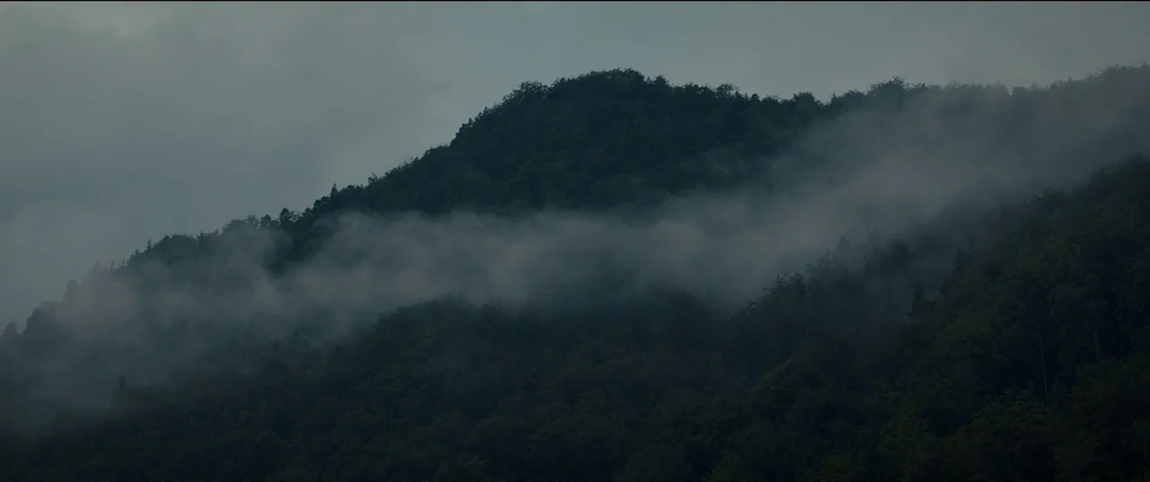 Nightsiren (2022) movie still: establishing — A dense, tree-covered mountainside is partially obscured by a thick layer of fog. Low clouds drift…