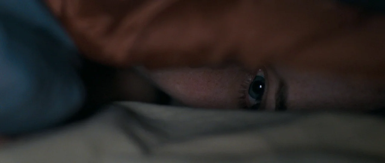 Womb (2010) movie still: closeup — The face of a person is partially obscured by a dark blanket. The subject gazes forward from under the fabric…