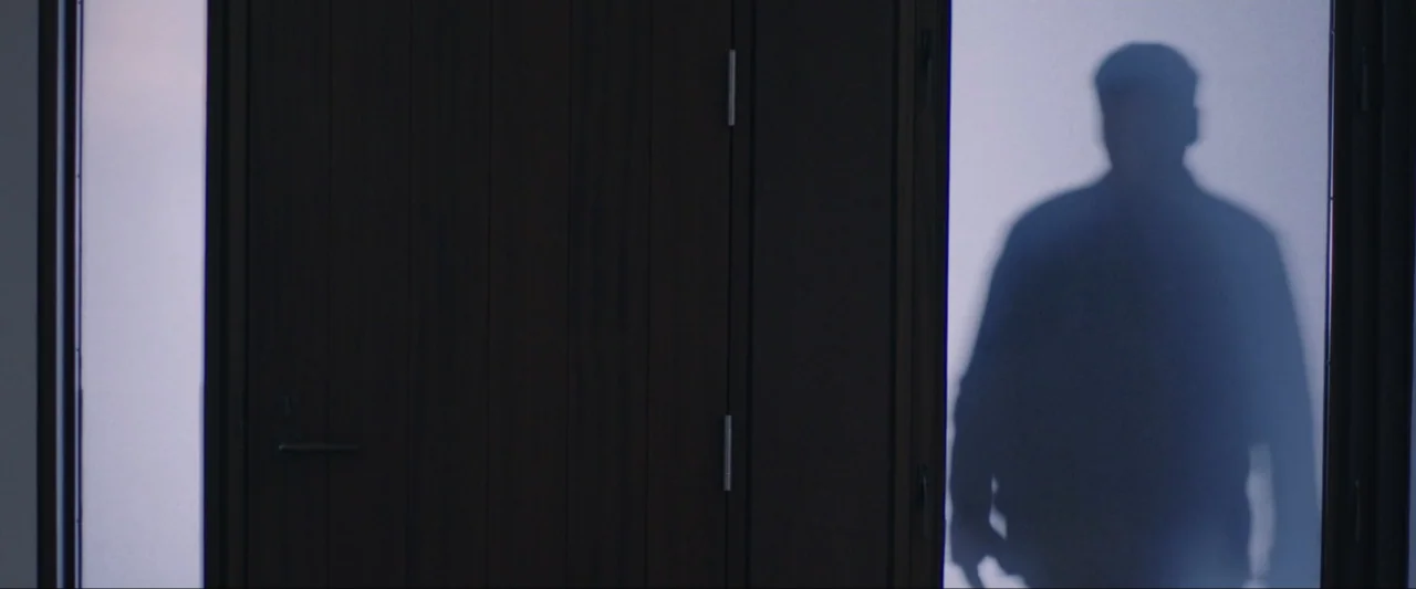 The Lie (2018) movie still: medium — A dark wooden door with a vertical frosted glass pane stands in a hallway. A person is visible as a shadow cast…
