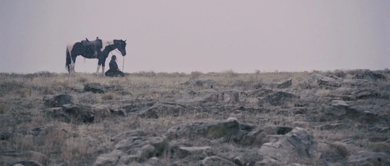 The Homesman (2014) movie still: wide — A vast, rocky, desolate plain sits under a grey, overcast sky during rainfall. A person kneels in the sparse…