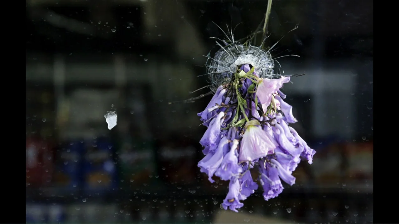 Requiem for the Dead: American Spring 2014 (2015) movie still: closeup — A cluster of purple flowers is pressed into a circular crack in glass. The…