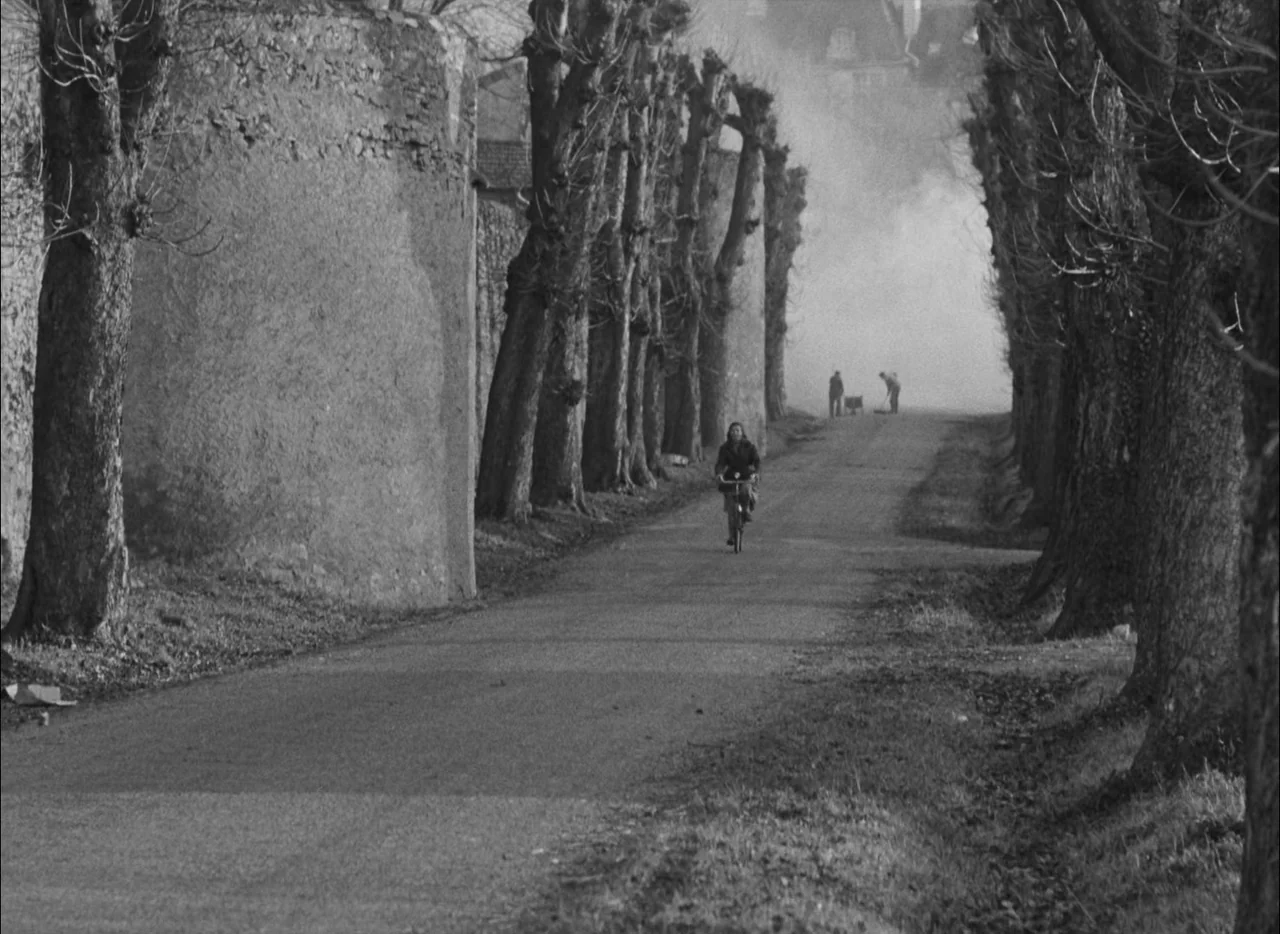 Hiroshima Mon Amour (1959) movie still: wide — A rural road flanked by large trees and a stone wall stretches into distance. A lone figure on a…