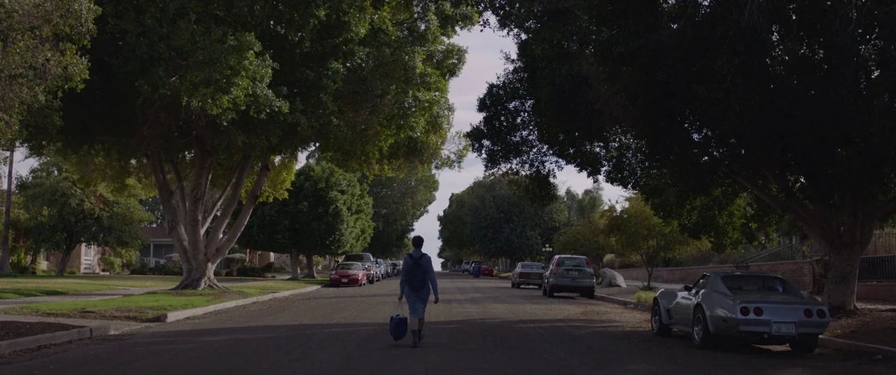 Nomadland (2020) movie still: wide — A quiet suburban street is lined with large trees and parked cars on both sides. A lone woman walks away from…