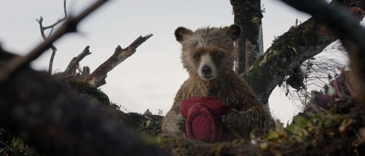 Paddington (2014) movie still: medium — A dense jungle environment with weathered, moss-covered tree trunks framing the composition. A young bear…