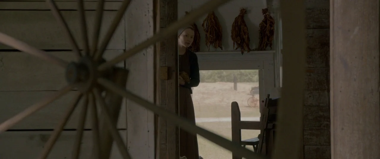 Lawless (2012) movie still: medium — A rustic farmhouse interior with wooden walls has dried plants hanging near a window. A woman stands in a…