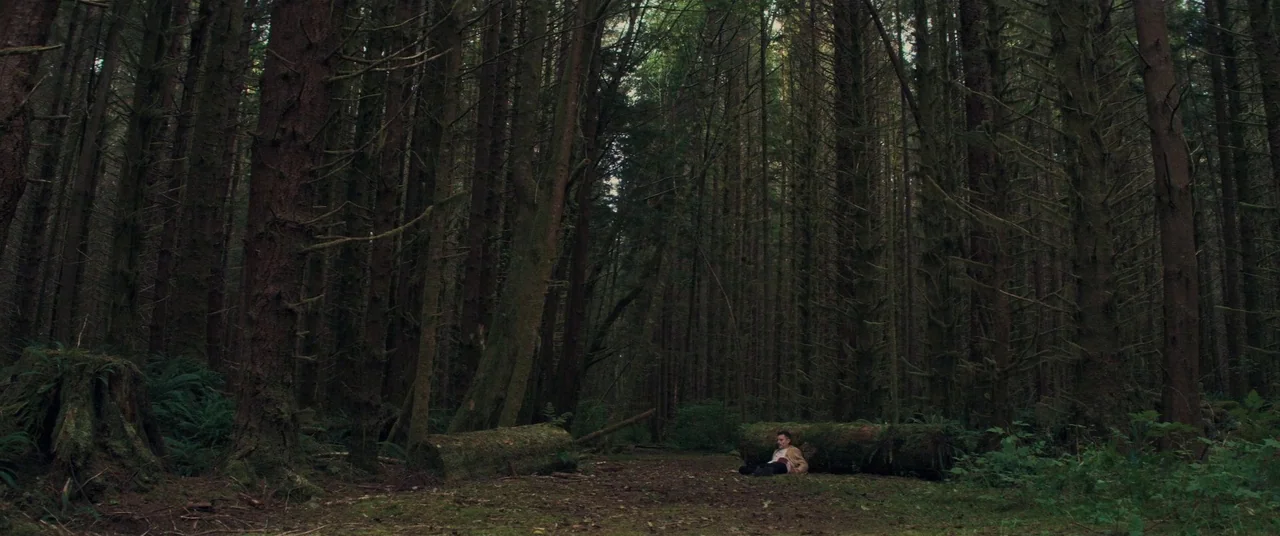 Come To Daddy (2019) movie still: wide — A dense coniferous woodland features tall, slender trees and a moss-covered ground layer. A lone man sits…
