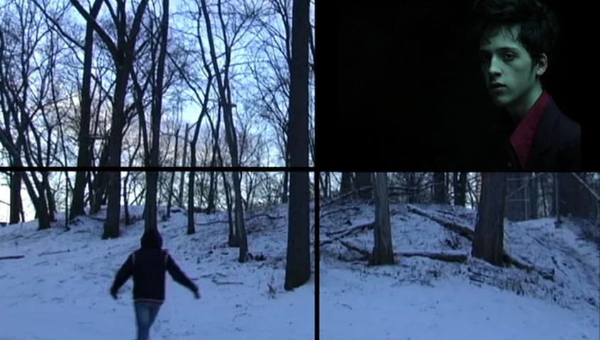 The Tracey Fragments (2007) movie still: wide — A split-screen composition showing a snow-covered forest floor with bare trees under grey skies. A…