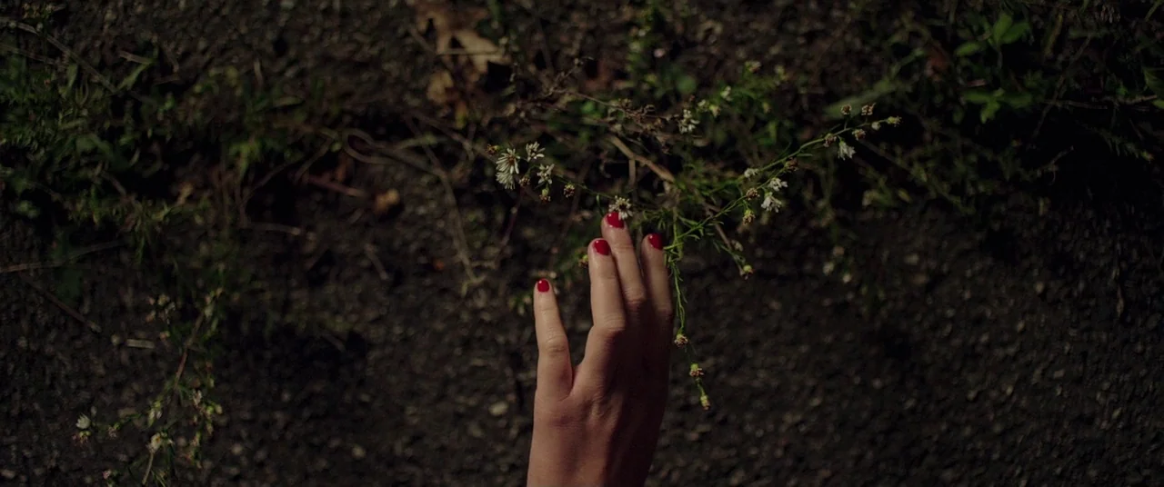 It Follows (2015) movie still: closeup — A human hand reaches toward delicate white flowers growing from dark, loose soil. The frame captures the…
