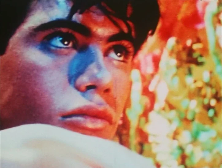 Pink Narcissus (1971) movie still: closeup — A close portrait shows a person lit by high-contrast blue and warm light. The background contains…