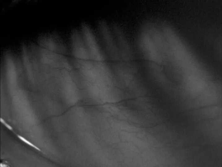 Persona (1966) movie still: closeup — An abstract close-up surface texture features faint, vein-like lines running across the frame. Gradated dark…