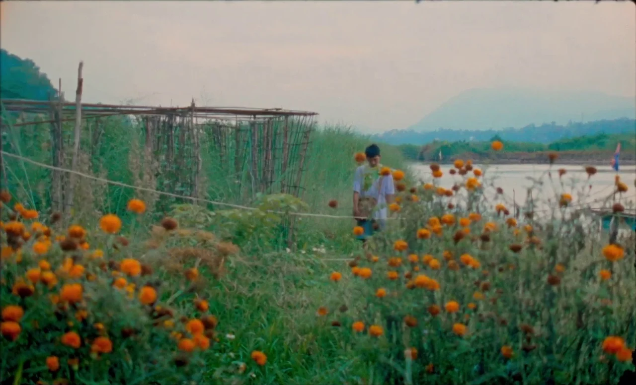 Samsara (2023) movie still: wide — A riverbank is filled with dense patches of orange flowers and metal agricultural trellises. A person in casual…