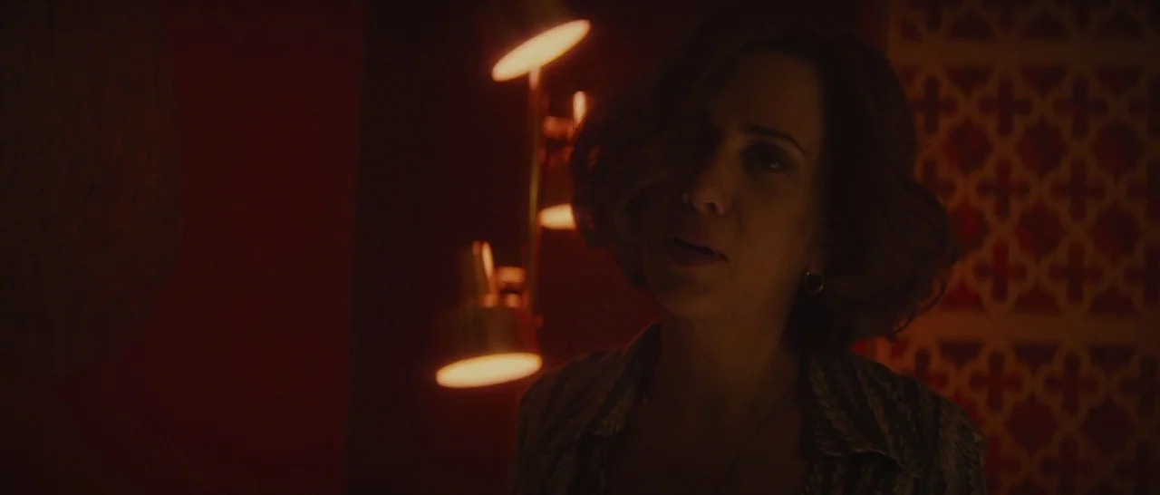 The Diary of a Teenage Girl (2015) movie still: closeup — A dimly lit hotel room features a wall with patterned wallpaper and dark surfaces. A woman…