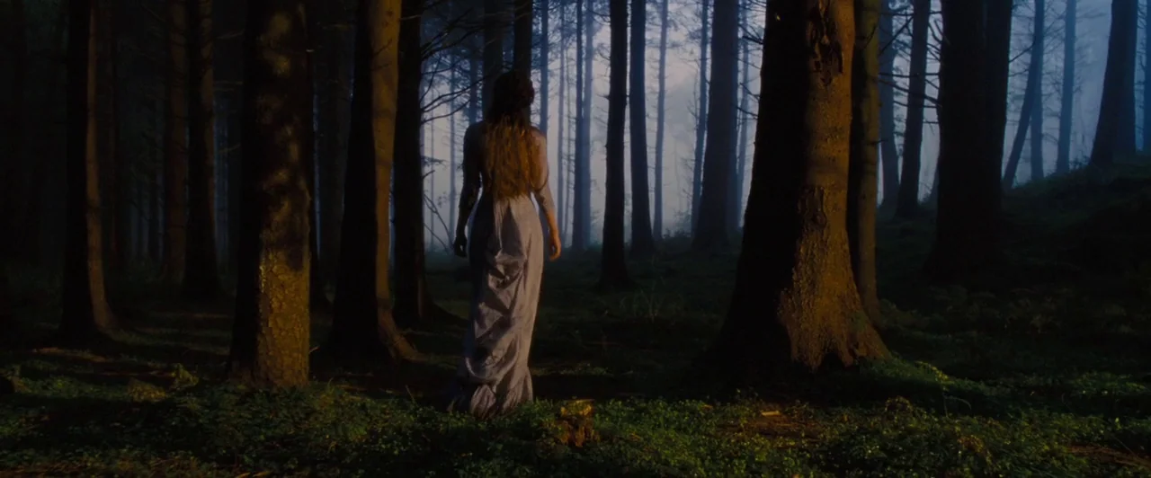 Far from the Madding Crowd (2015) movie still: fullbody — A dense, misty pine wood with golden light hitting the trunks in the foreground. A woman…