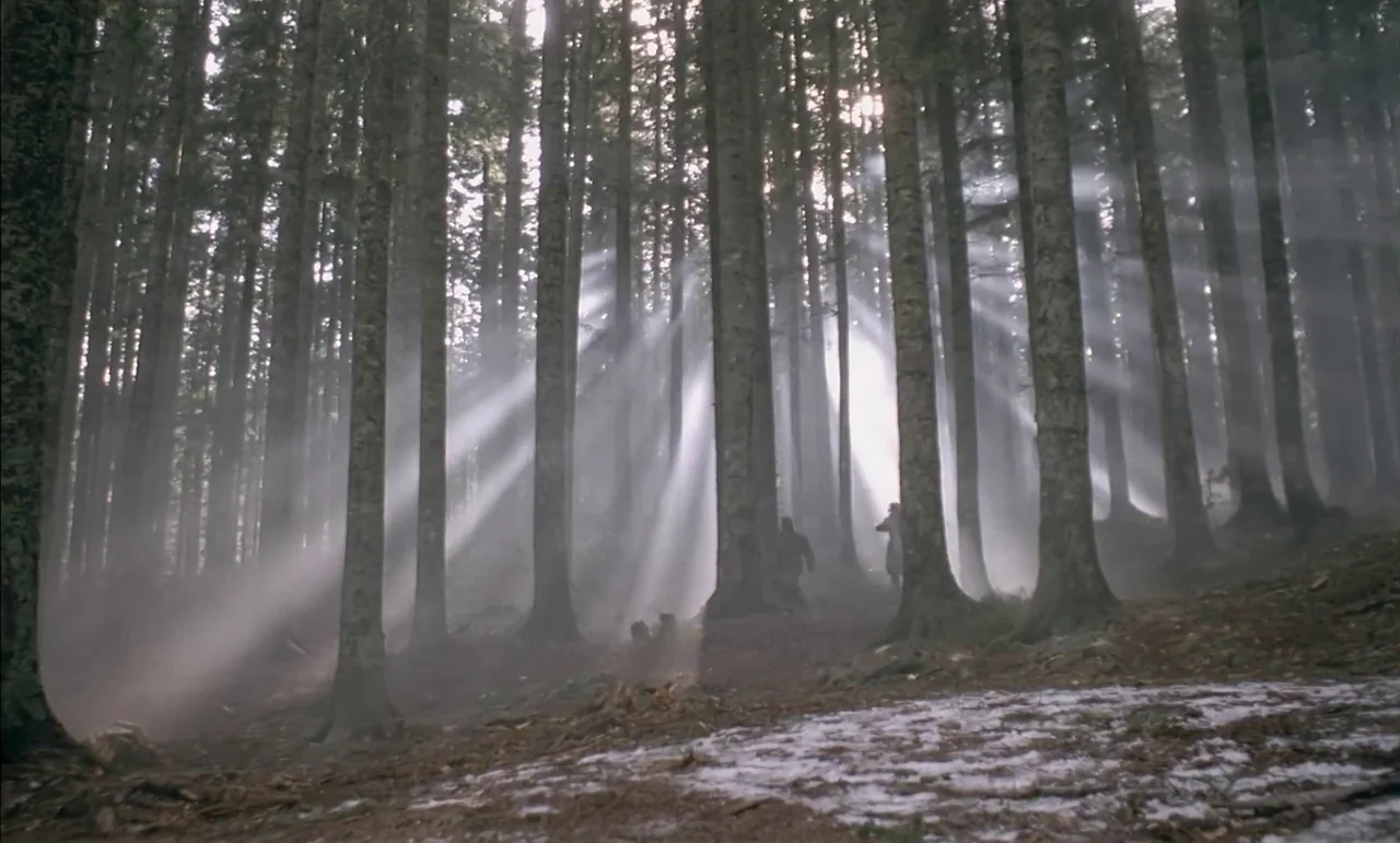 The Conformist (1970) movie still: wide — A dense coniferous forest floor is covered with scattered patches of thawing white snow. Strong shafts of…