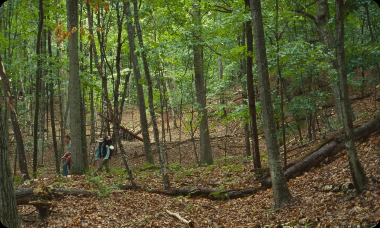 Vulcanizadora (2024) movie still: wide — A dense woodland with tall trees and thick leaf litter covers the sloping ground. Two hikers walk through…