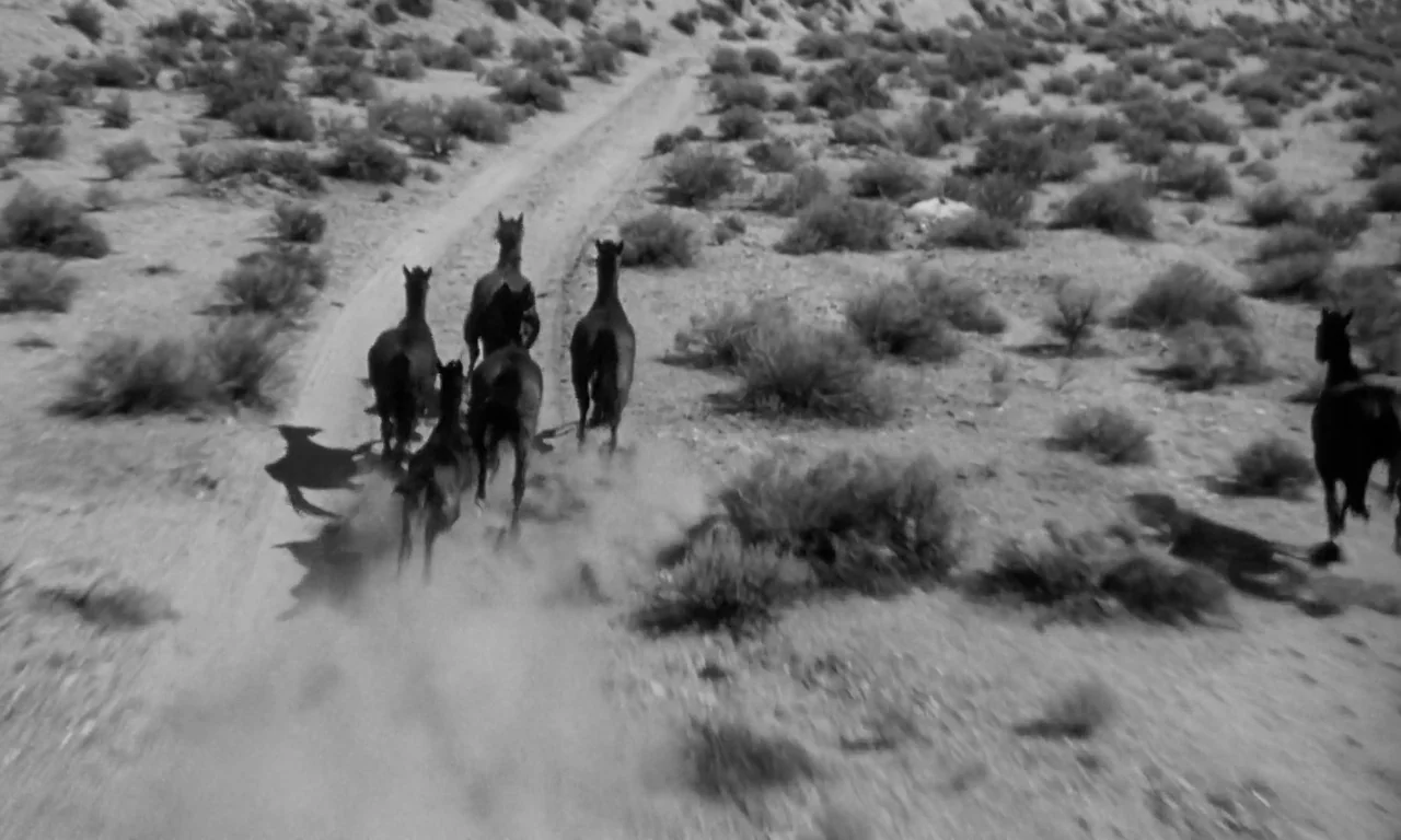 The Misfits (1961) movie still: wide — A dry desert landscape with scattered low brush and a single dirt trail. Multiple dark horses run along the…