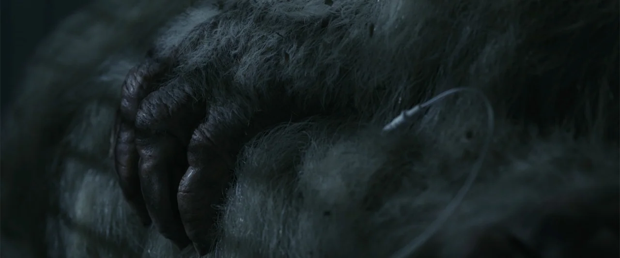 Rampage (2018) movie still: closeup — A dark clinical environment featuring a close-up of a large, thick-furred hand. A medical IV line is taped to…