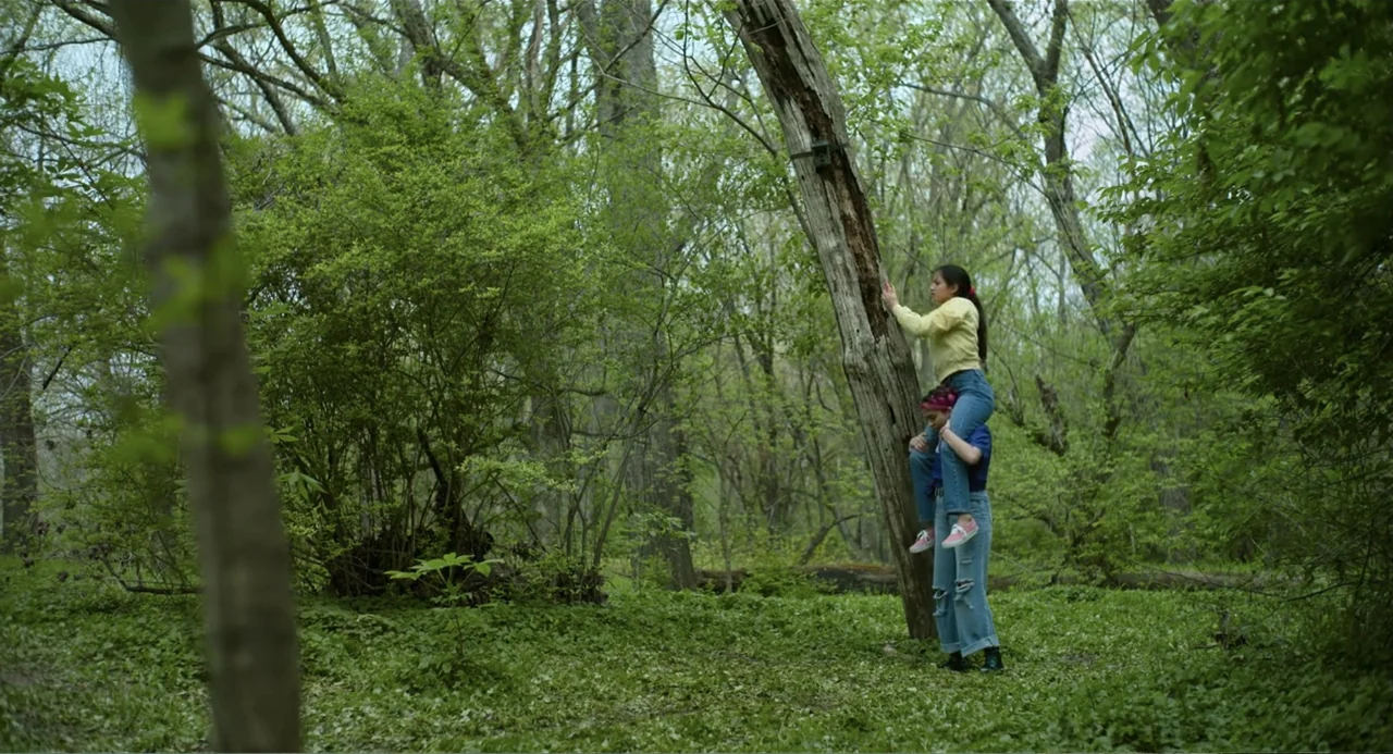Turtles All the Way Down (2024) movie still: medium — A dense patch of green trees and ground foliage surrounds a central bare tree. Two young women…