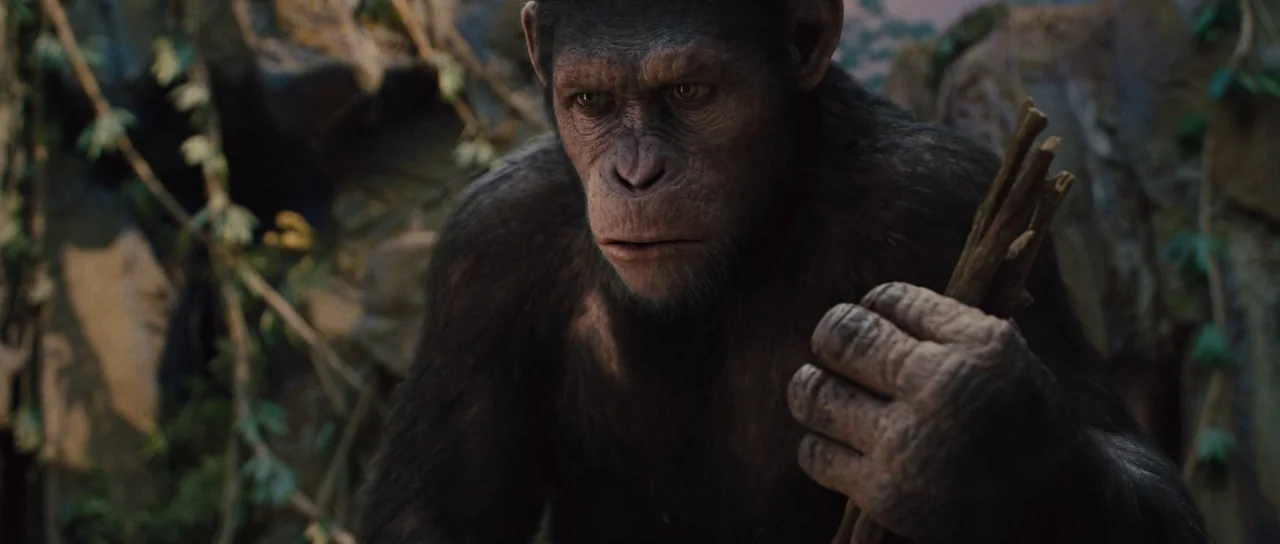 Rise of the Planet of the Apes (2011) movie still: medium — A rocky, uneven outdoor area features tangled vines and dark stone surfaces. An ape…