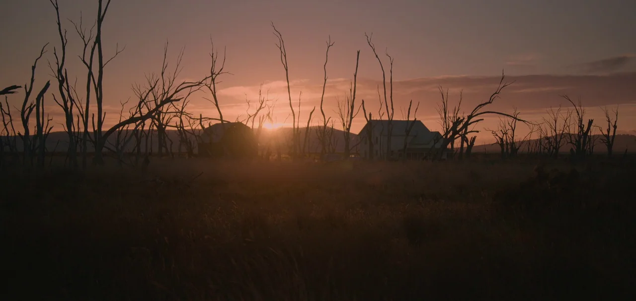 Foe (2023) movie still: establishing — A field filled with many dead, leafless trees under a setting sun. A house and barn are silhouetted against…