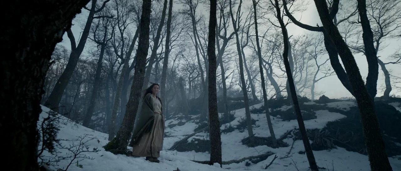 The Revenant (2015) movie still: wide — A snowy hillside filled with leafless trees under a bright, overcast sky. A woman stands between the trunks…