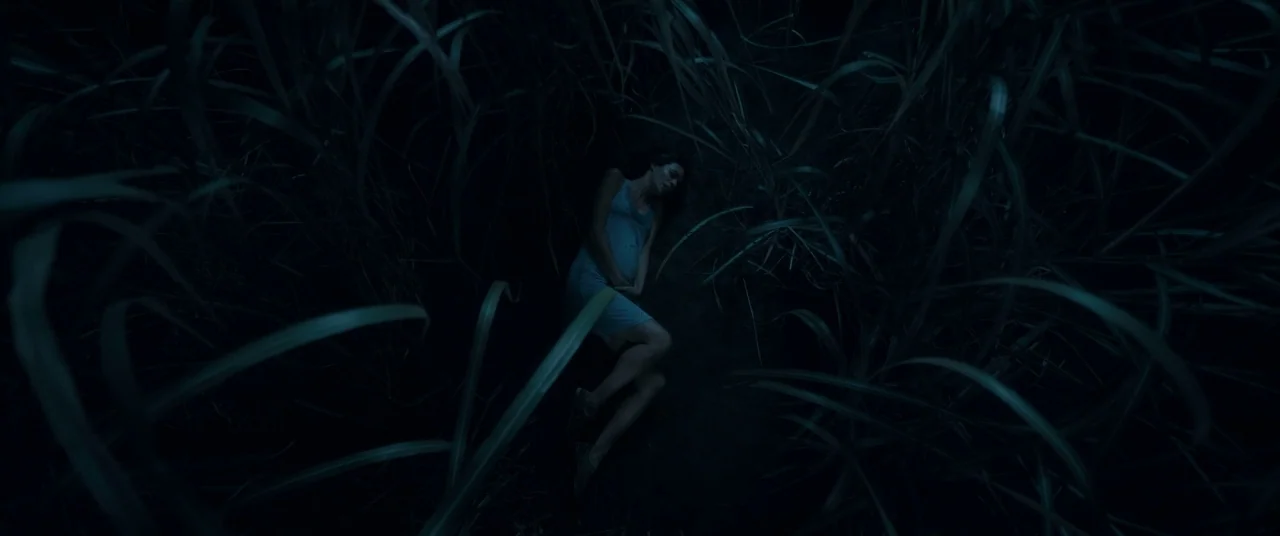 In The Tall Grass (2019) movie still: wide — A dark field filled with tall, dense blades of grass at night. A woman lies on the ground in a curled…